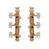 Clavijeros para guitarra clásica en forma de mariposa. Puente de clavijas metálico en color dorado