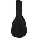 GUITARRA ACÚSTICA / LIGHTWEIGHT - JUMBO