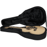 GUITARRA ACÚSTICA / LIGHTWEIGHT - JUMBO