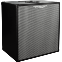 PANTALLA BAJO ASHDOWN RM EVO III 1 x 12" - 300w 8 Ohms