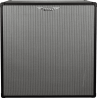 PANTALLA BAJO ASHDOWN RM EVO III 4x10" -  600w 4 Ohms