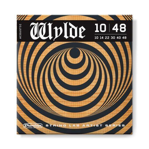JUEGO GUITARRA ACÚSTICA ZAKK WYLDE 10-48