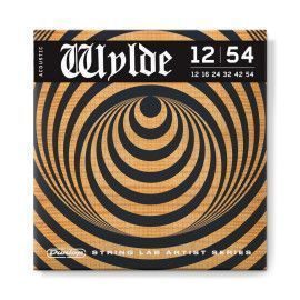JUEGO GUITARRA ACÚSTICA ZAKK WYLDE 12-54
