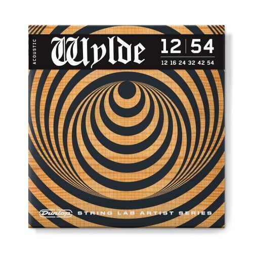 JUEGO GUITARRA ACÚSTICA ZAKK WYLDE 12-54