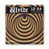JUEGO GUITARRA ACÚSTICA ZAKK WYLDE 12-54