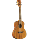 UKELELE DUO CONCERTO