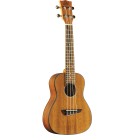 UKELELE DUO CONCERTO