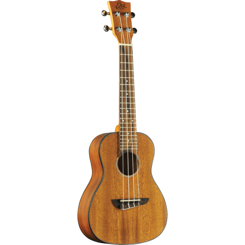 UKELELE DUO CONCERTO