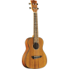 UKELELE DUO CONCERTO
