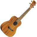 UKELELE DUO CONCERTO
