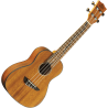 UKELELE DUO CONCERTO