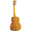 UKELELE DUO CONCERTO