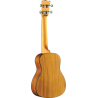 UKELELE DUO CONCERTO