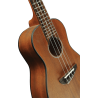 UKELELE DUO CONCERTO