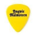 PACK 6 PÚAS SIGNATURE YNGWIE MALMSTEEN DELRIN - 1,14 mm
