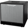 PANTALLA BAJO ASHDOWN RM EVO III 1 x 10"" - 150w 8 Ohms
