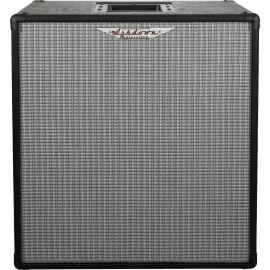 PANTALLA BAJO ASHDOWN RM EVO III 1 x 15" - 300w 8 Ohms