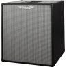 PANTALLA BAJO ASHDOWN RM EVO III 1 x 15" - 300w 8 Ohms