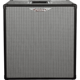 PANTALLA BAJO ASHDOWN RM EVO III 2 x 10" - 300w 8 Ohms
