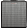 PANTALLA BAJO ASHDOWN RM EVO III 2 x 10" - 300w 8 Ohms
