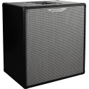 PANTALLA BAJO ASHDOWN RM EVO III 2 x 10" - 300w 8 Ohms