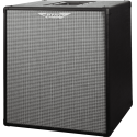 PANTALLA BAJO ASHDOWN RM EVO III 2 x 10" - 300w 8 Ohms