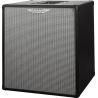 PANTALLA BAJO ASHDOWN RM EVO III 2 x 10" - 300w 8 Ohms