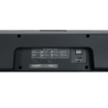 PSB-2