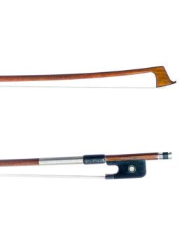 "Arco viola Nicolàs Delaune"