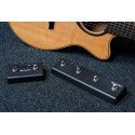 CONTROLADOR BLUETOOTH PARA LÂG HYVIBE - 2 PULSADORES