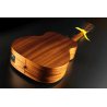 GUITARRA ACÚSTICA TRAVEL SIGNATURE VIANNEY A/E -NATURAL