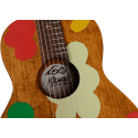 GUITARRA ACÚSTICA PARLOR ELECTRO - SIGNATURE VIANNEY