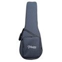 GUITARRA CLASICA TAKAMINE EC132SC E/A NATURAL CT4DX -  Cutaway