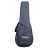 GUITARRA CLASICA TAKAMINE EC132SC E/A NATURAL CT4DX -  Cutaway