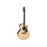 PRO SERIES 7 E/A AUDITORIUM CUTWAY - NATURAL