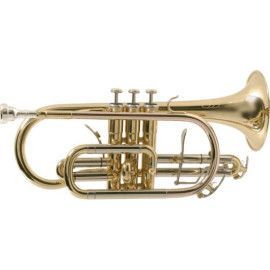 CORNETA SIB CO870-L