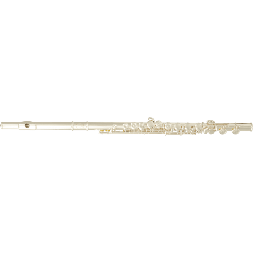 FLAUTA TRAVESERA PARA PRINCIPIANTES  FL300E