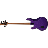 BAJO ELÉCTRICO STINGRAY RAY34 RM/R - Purple Sparkle