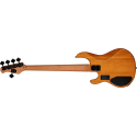 BAJO ELÉCTRICO STINGRAY RAY35 POPLAR BURL HH RM/R Amber