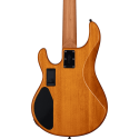 BAJO ELÉCTRICO STINGRAY RAY35 POPLAR BURL HH RM/R Amber