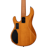 BAJO ELÉCTRICO STINGRAY RAY35 POPLAR BURL HH RM/R Amber
