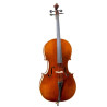 "Cello F. Müller Concertino (B-Stock)"