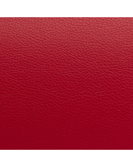 Bolsa acolchada violín Bam ET9200XP L'Étoile forma Rojo