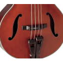 BAJO ACÚSTICO TAKAMINE DB10 FRETLESS E/A F-HOLE CUTAWAY