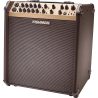 AMPLIFICADOR ACÚSTICO LOUDBOX Performer bluetooth