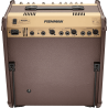 AMPLIFICADOR ACÚSTICO LOUDBOX Performer bluetooth