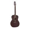 GUITARRA TAKAMINE GY21 E/A NEW YORKER - SATIN MOLASSE