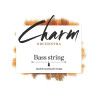 Cuerda contrabajo For-Tune Charm Orchestra 3ª La acero Medium 4/4