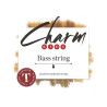 Cuerda contrabajo For-Tune Charm Kids Orchestra tungsteno 1ª Sol acero Medium 1/4