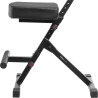 Taburete Deluxe ajustable con soporte pa